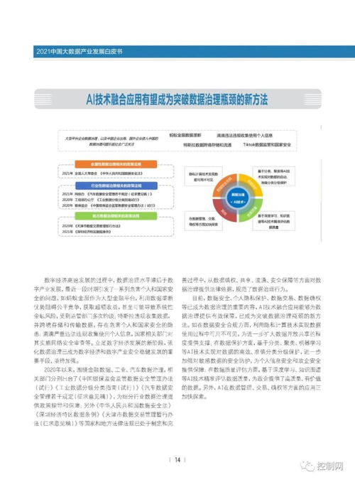洞见未来 2021中国大数据产业发展白皮书之基础软件服务深度解析